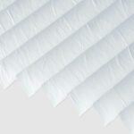 22A55_neu_bearbeitet