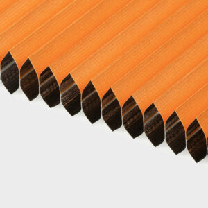 24C01-v2-300x300